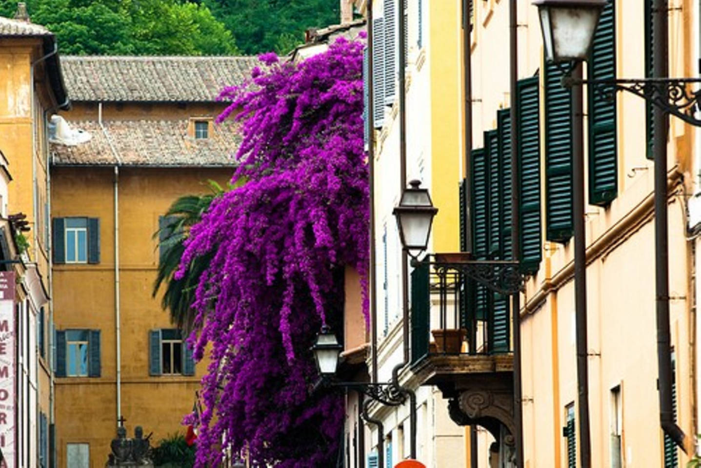 Ventisei Scalini A Trastevere foto 44