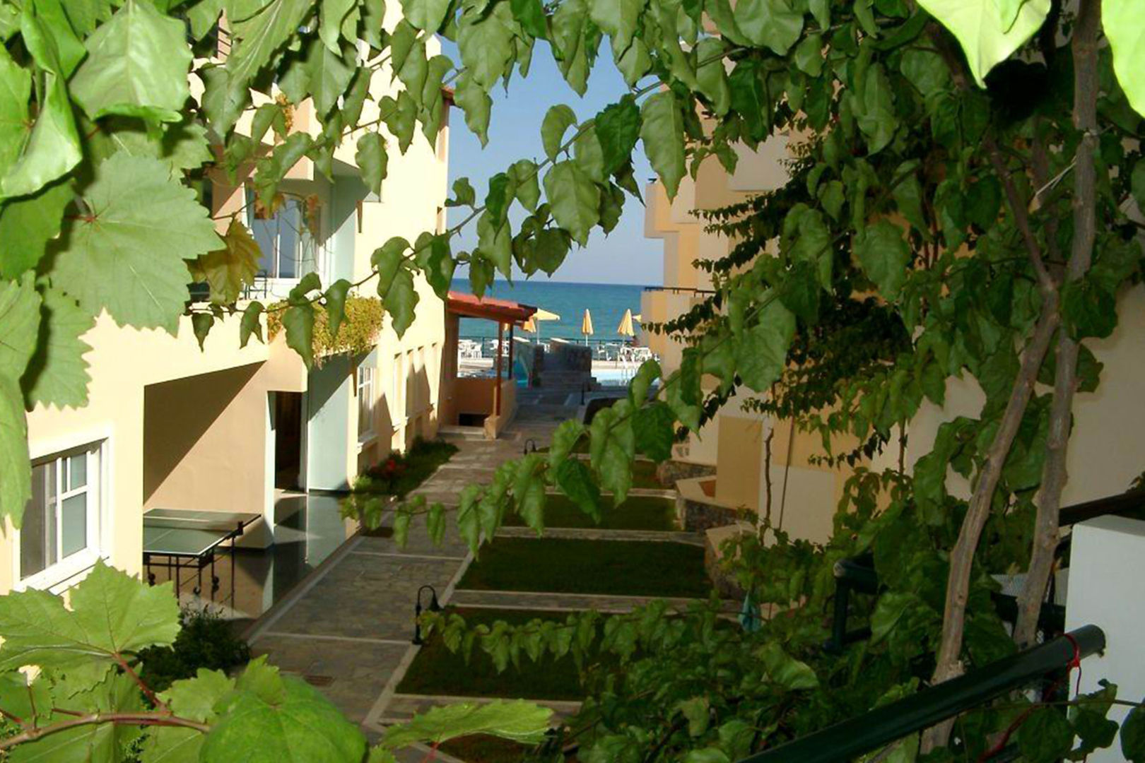 Dedalos Beach Hotel foto 9