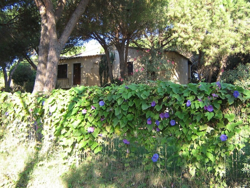Residence Baia delle Palme foto 47