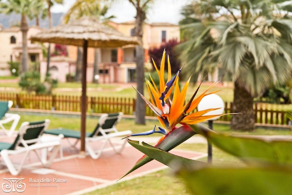 Residence Baia delle Palme