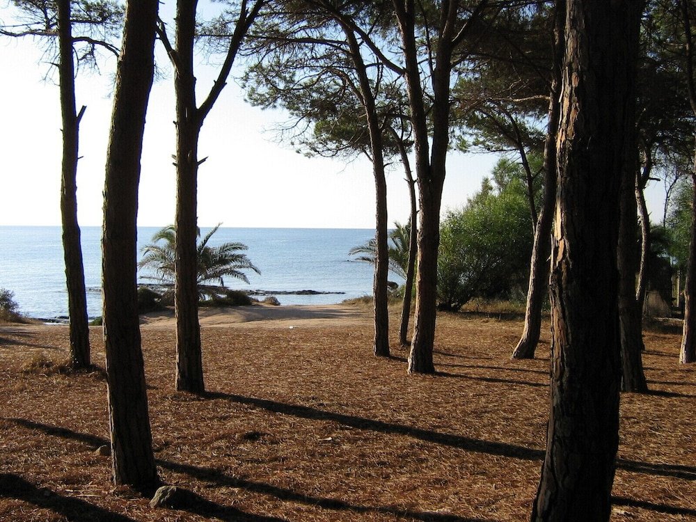 Residence Baia delle Palme foto 49