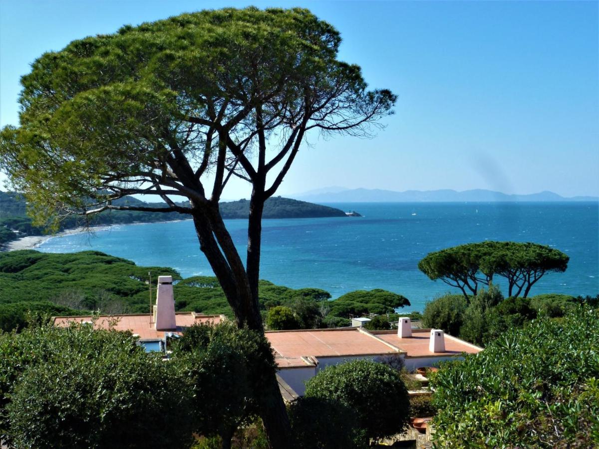 een huis met een boom en de oceaan op de achtergrond bij Holiday Home Villa Marzia Mare & Golf by Interhome in Punta Ala