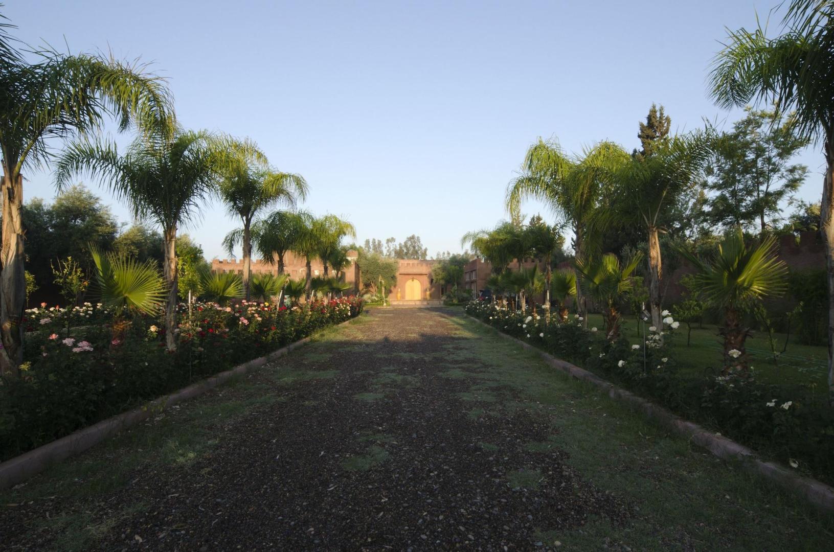 Palais Riad Berbere Bio Hotel and Spa foto 15