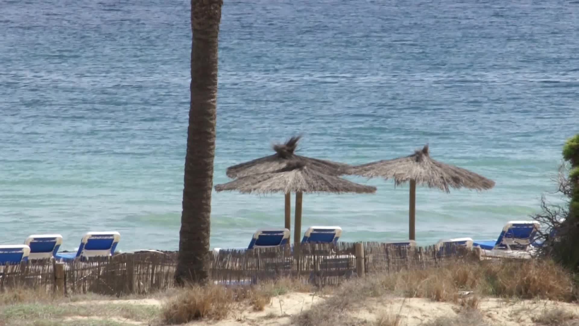 Grand Palladium White Island Resort & Spa foto 15