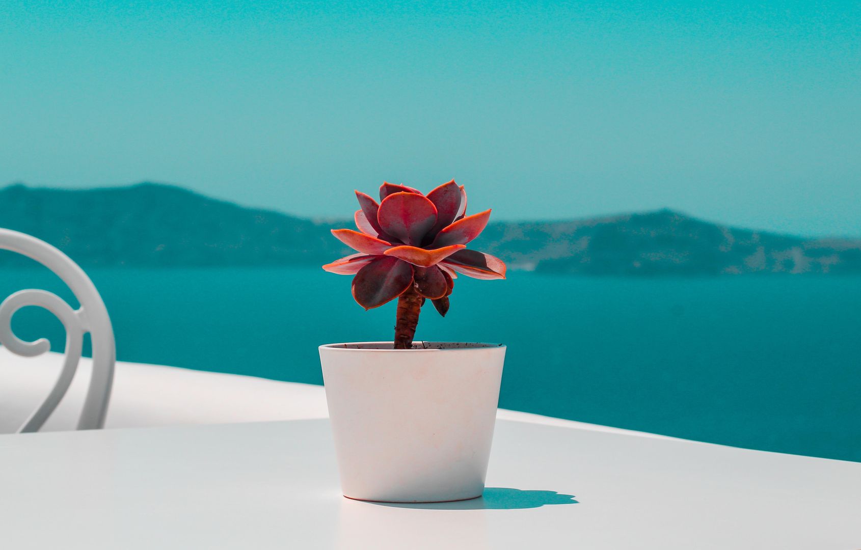 Athina Luxury Suites foto 422
