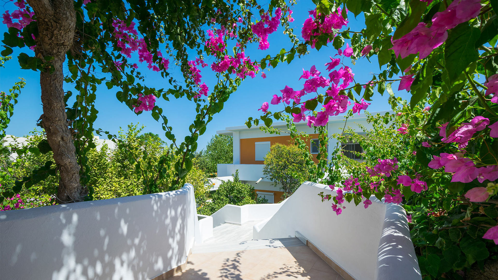 Stafilia Beach image 3