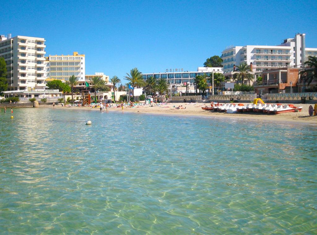 Osiris Ibiza foto 13