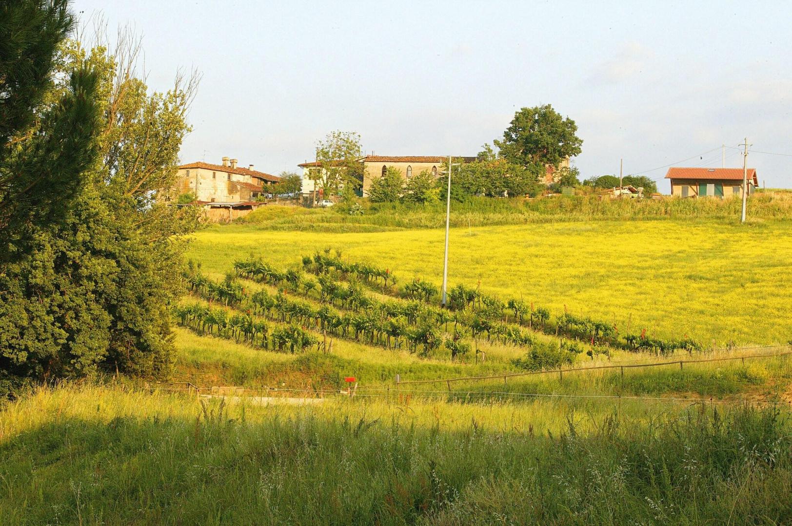 Tenuta Il Burchio foto 44