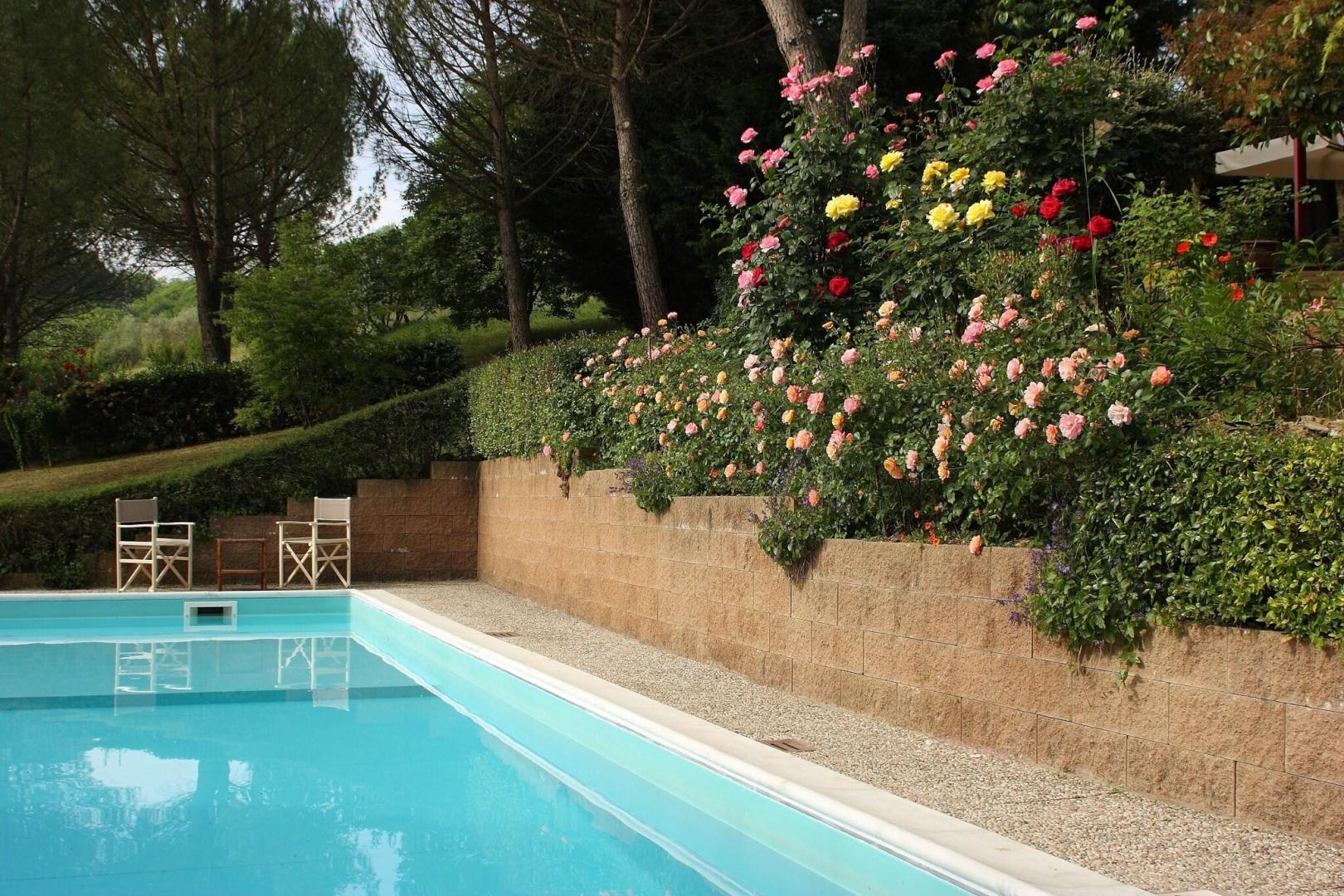 Tenuta Il Burchio foto 45