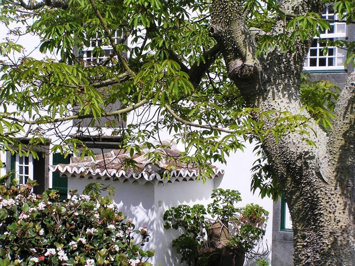 Casa das Calhetas foto 9