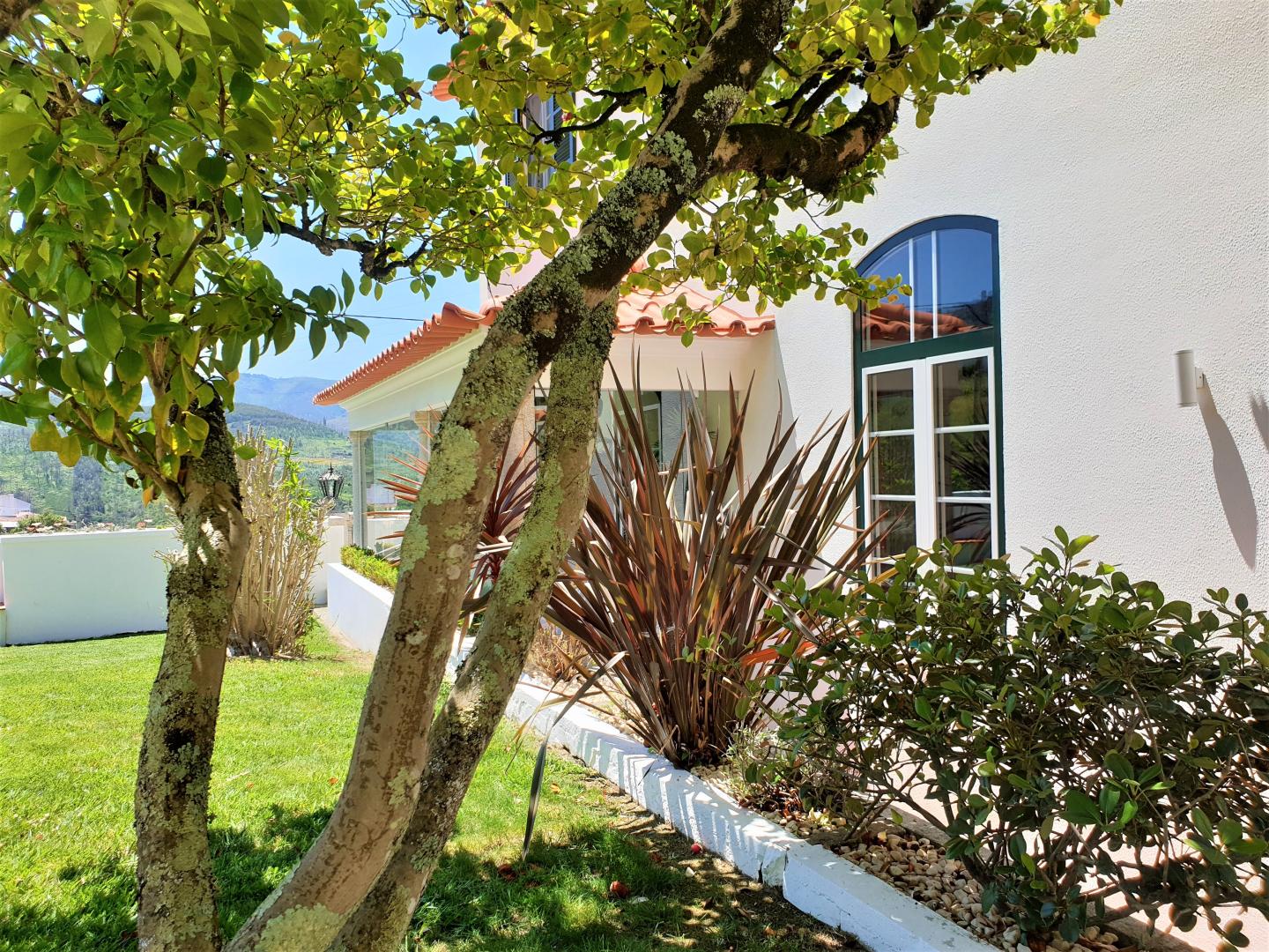Quinta da Palmeira Country House Retreat foto 39