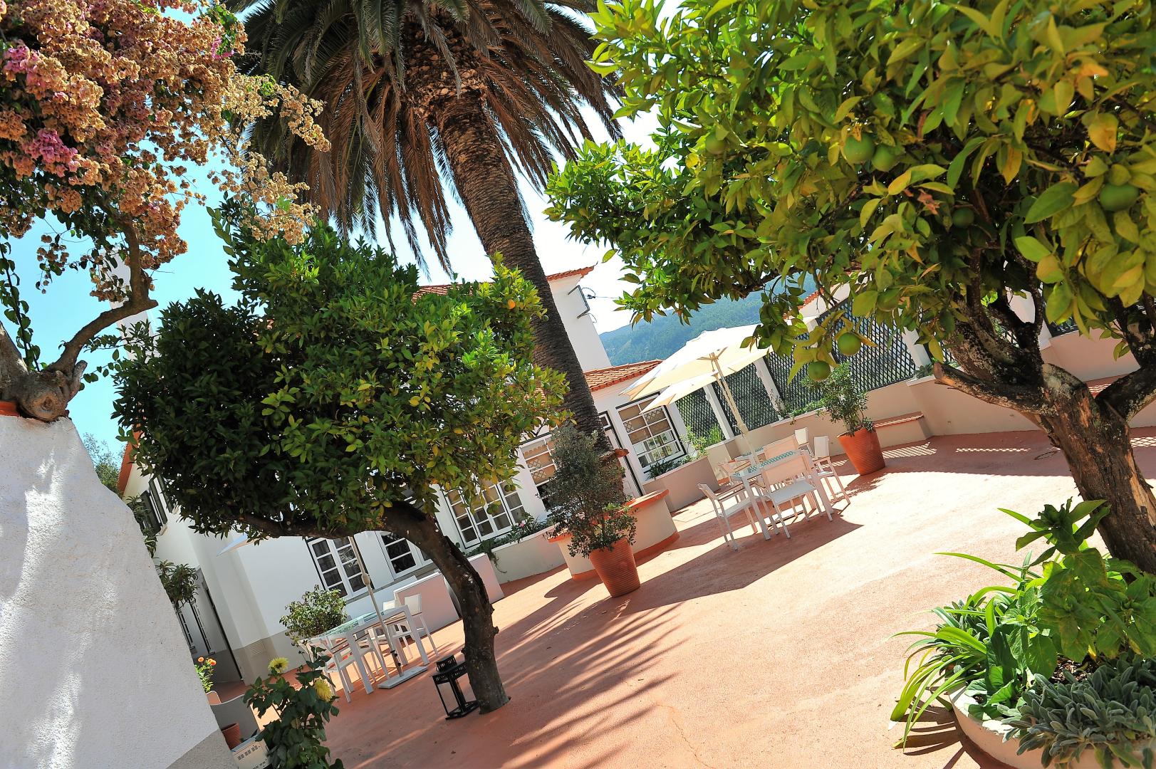 Quinta da Palmeira Country House Retreat foto 13