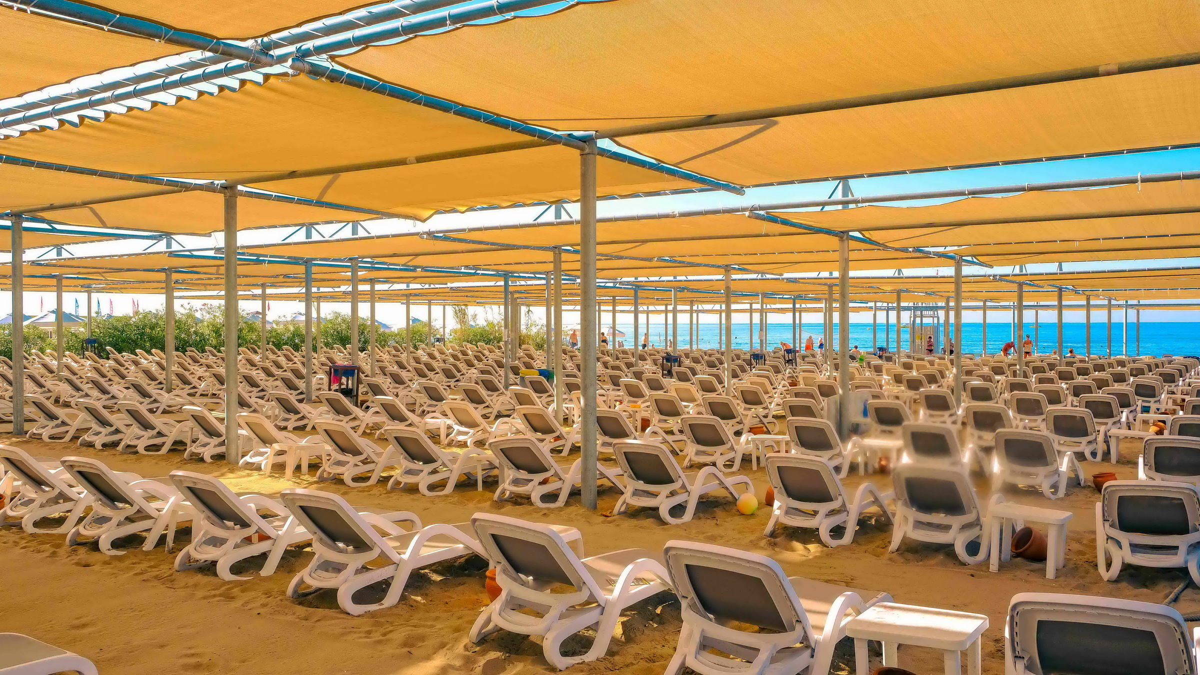 Dream World Resort & Spa foto 15