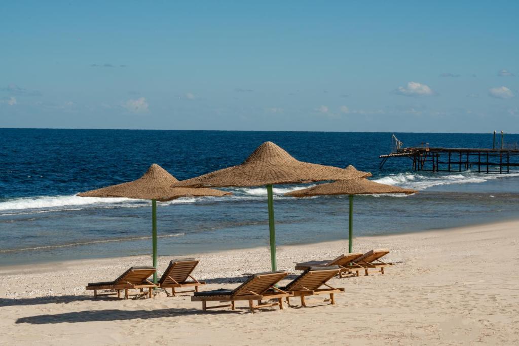 Coral Hills Resort & SPA foto 10