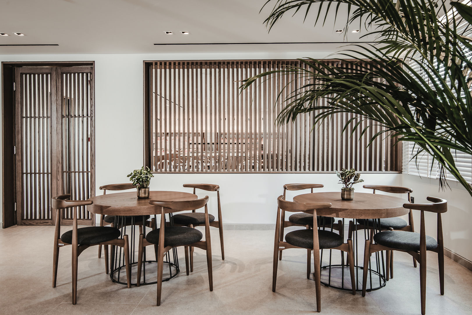 Planos Hotel image 3