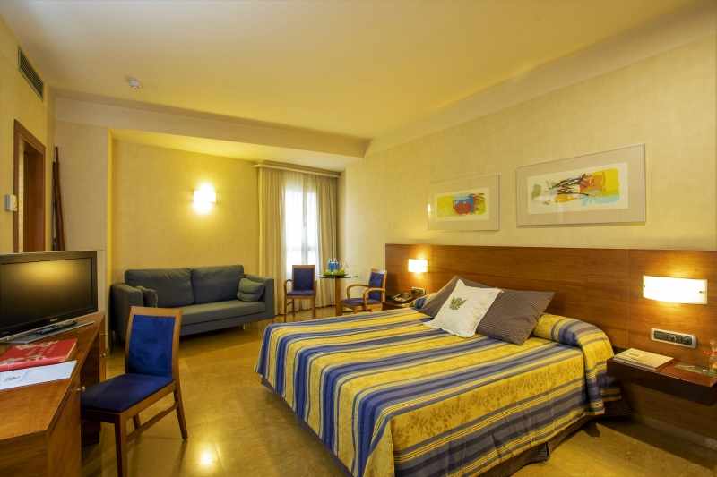 Sercotel Palacio de Tudemir image 3