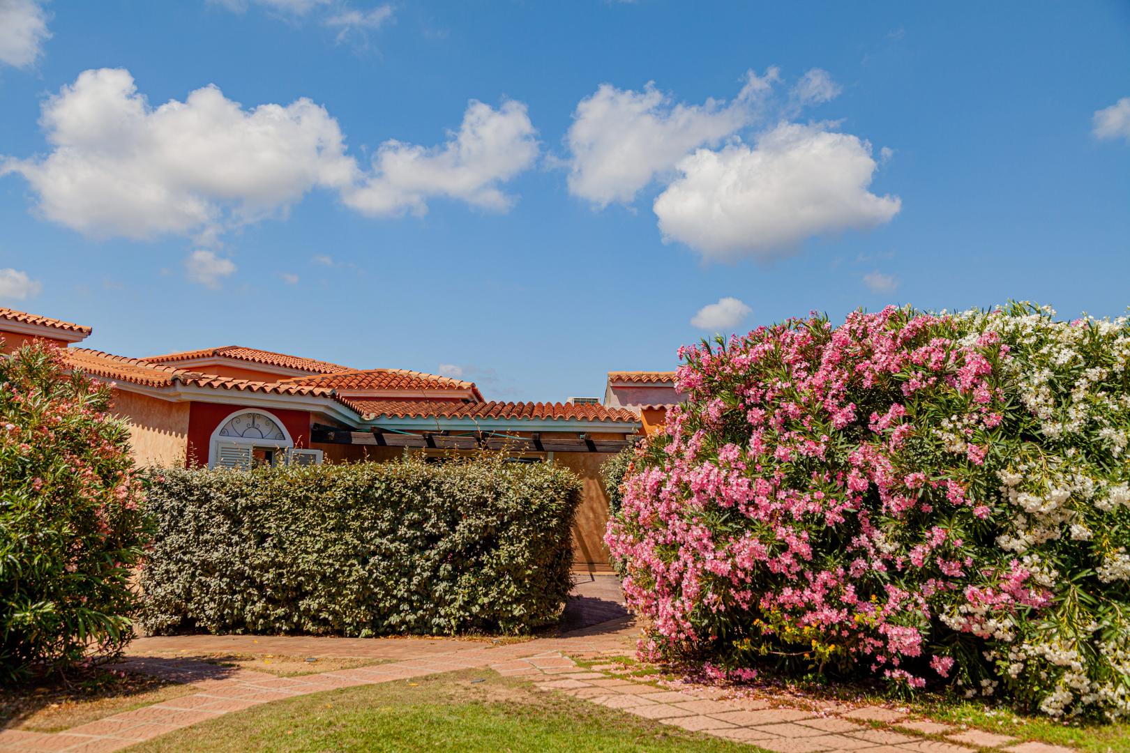 Binnenplaats — Aparthotel Lu Nibareddu