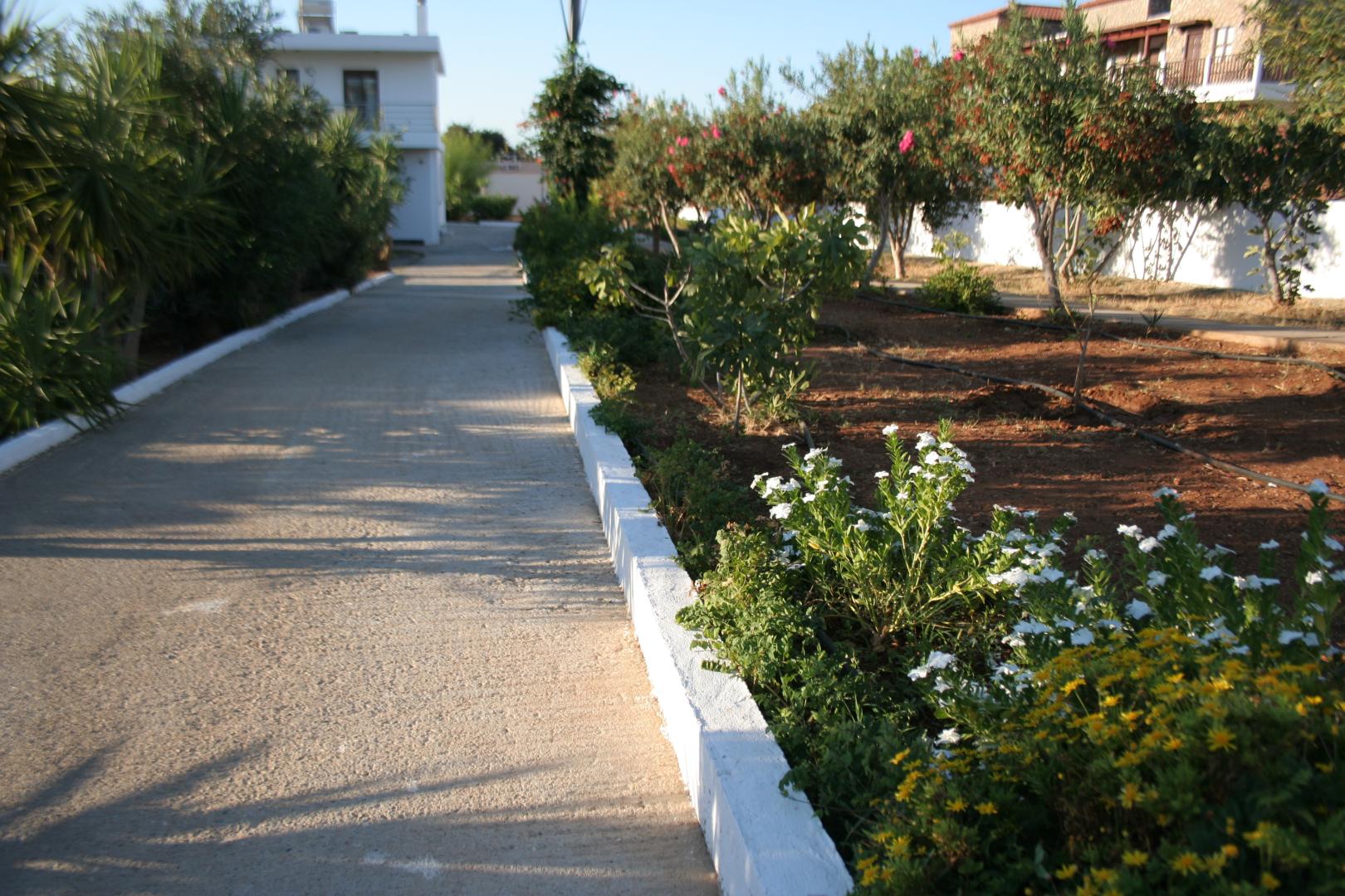 Amaryllis Beach Front Hotel foto 24