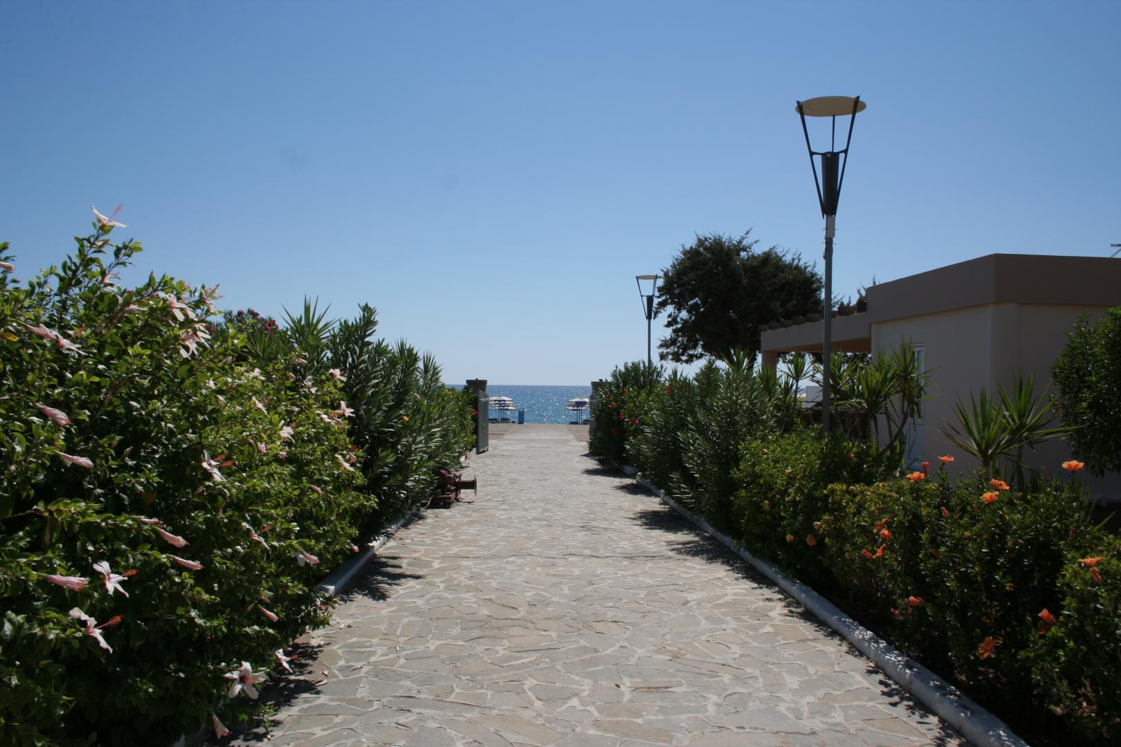 Amaryllis Beach Front Hotel foto 39