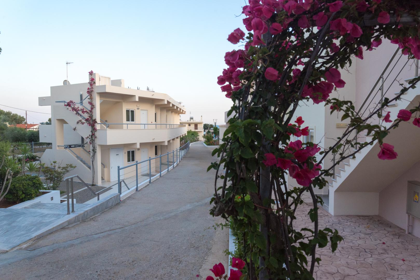 Amaryllis Beach Front Hotel foto 38
