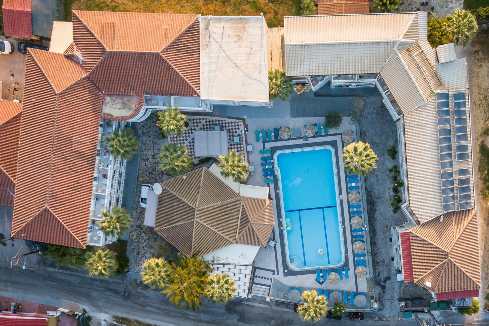 Zwembad omringd door palmbomen — Vivian Hotel