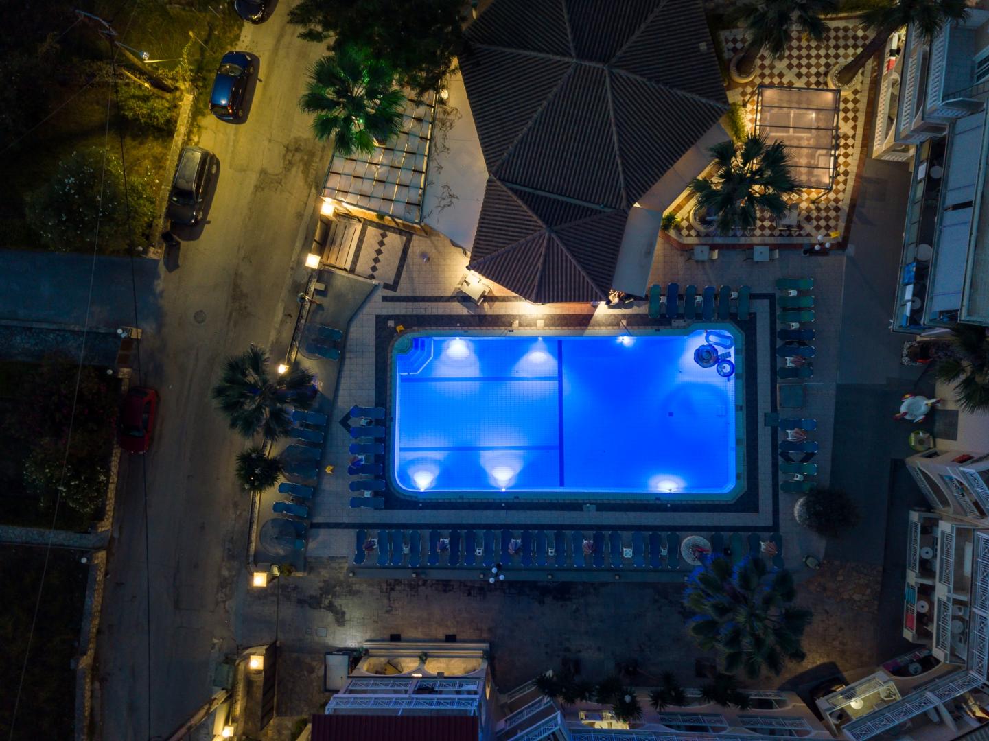 Zwembad omringd door palmbomen — Vivian Hotel
