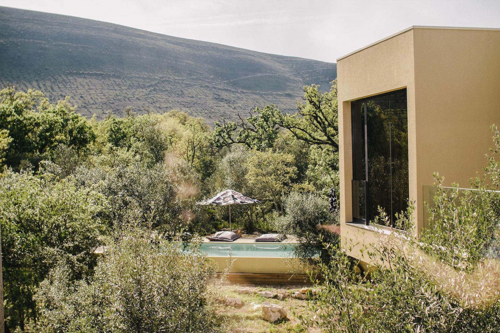 Cooking and Nature Emotional Hotel image 1