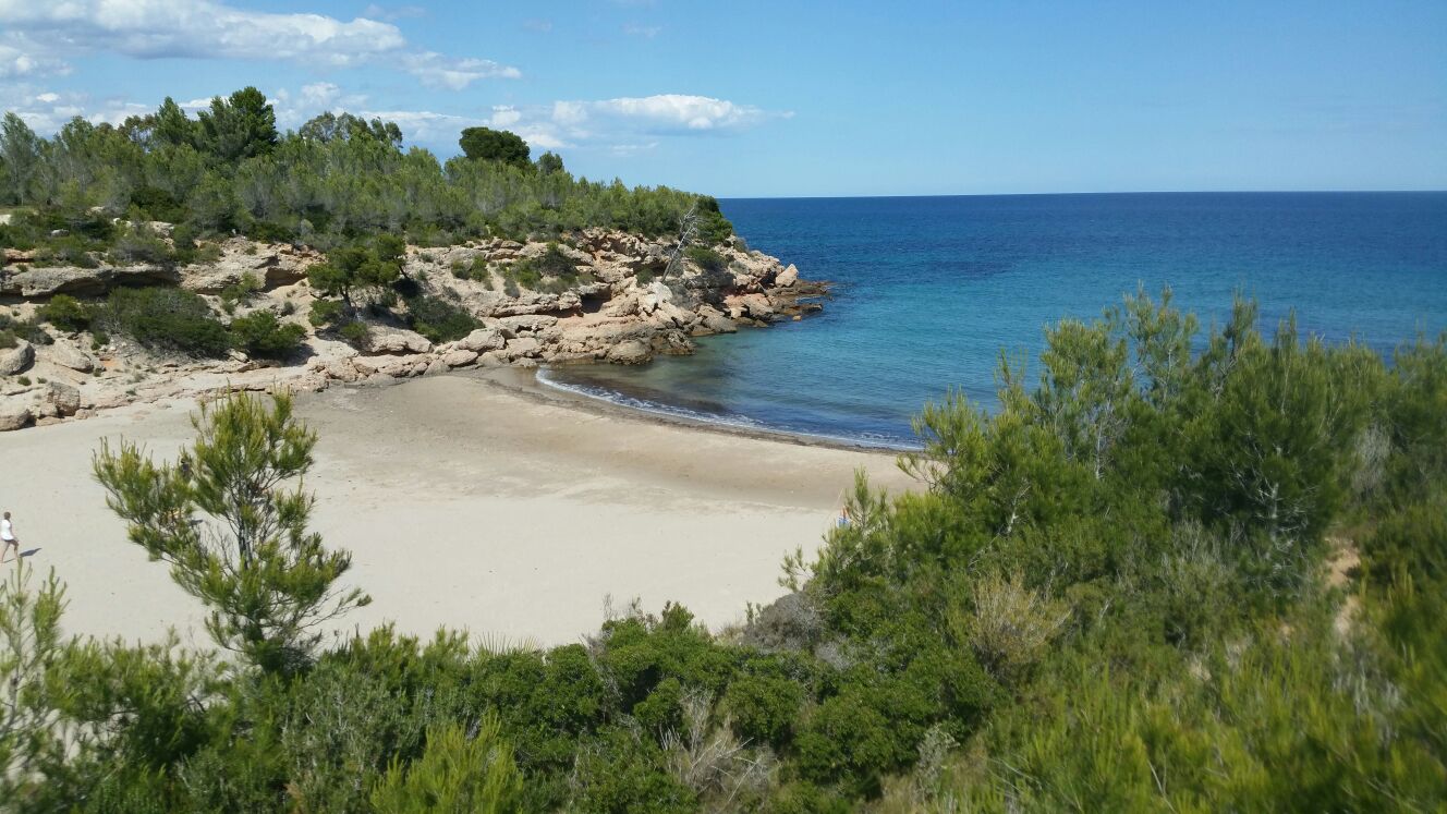 L'Alguer foto 16