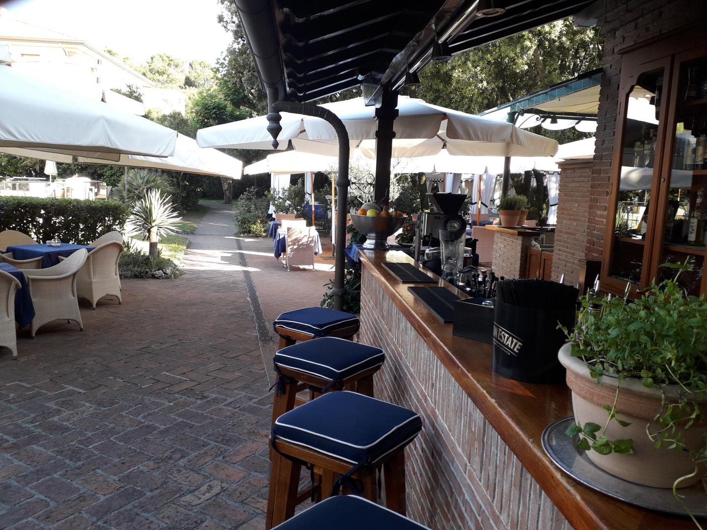 Park Hotel Villa Ariston foto 19