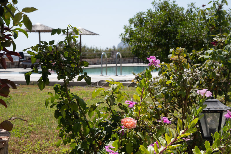 Gardenia foto 46