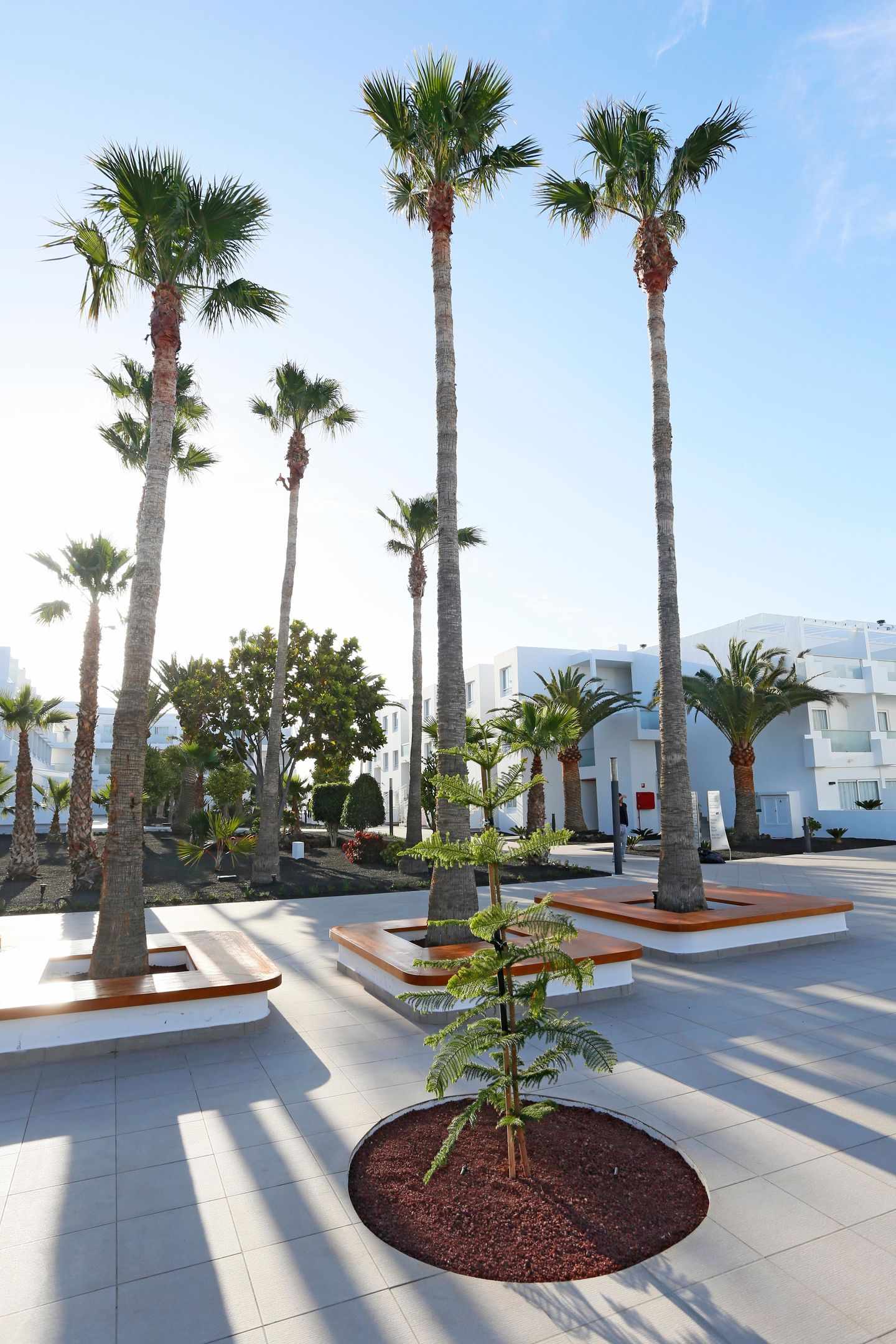 Sentido Aequora Lanzarote Suites foto 144