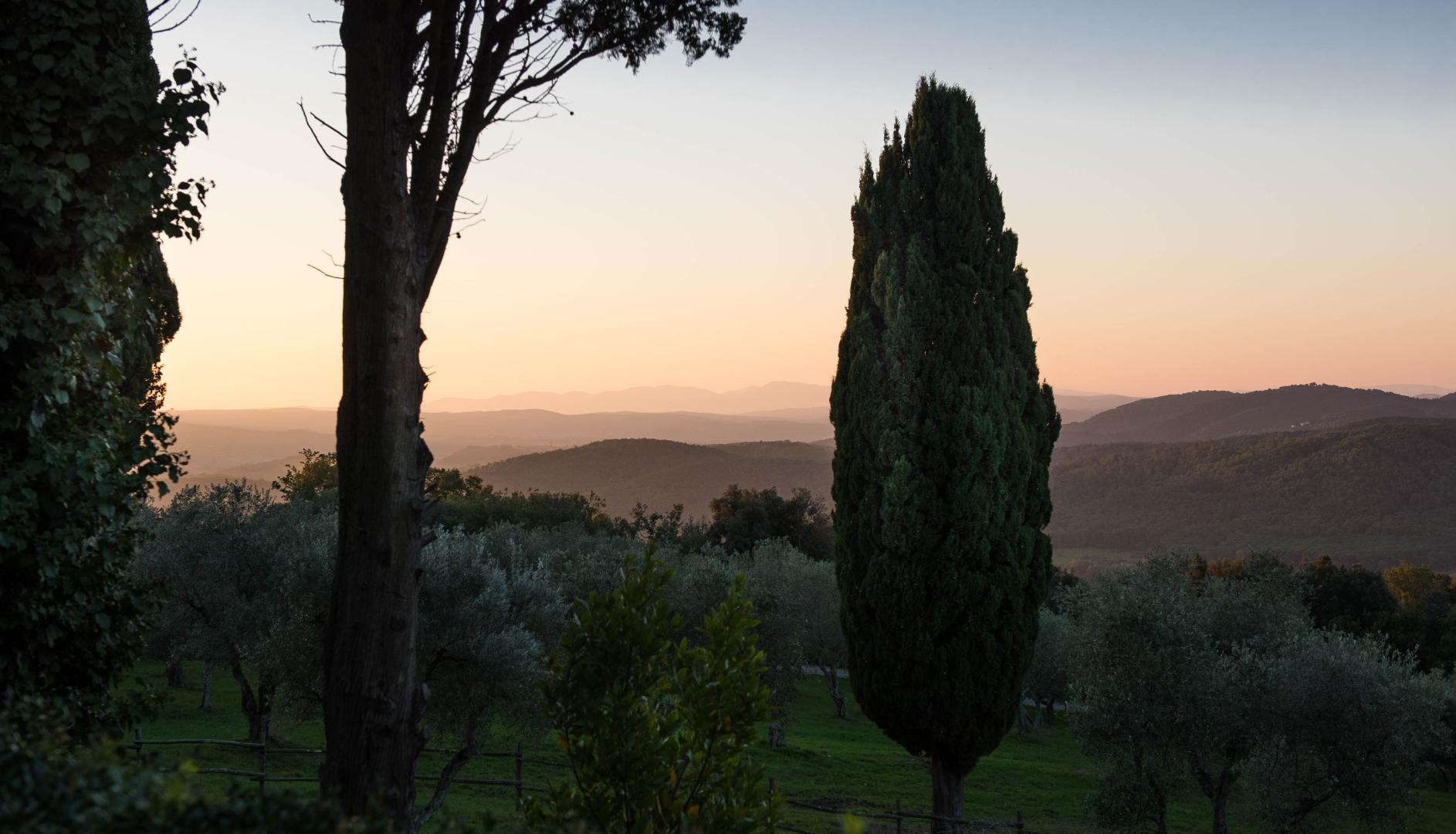 Tenuta la Bandita foto 26