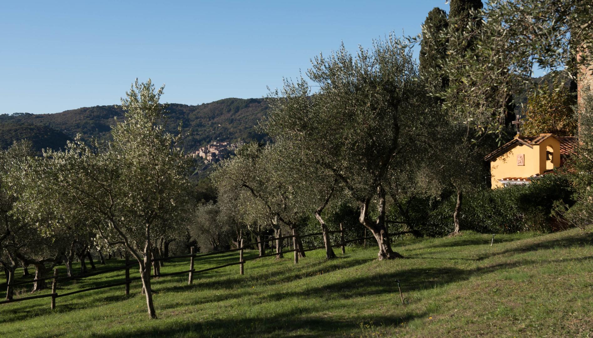 Tenuta la Bandita foto 13