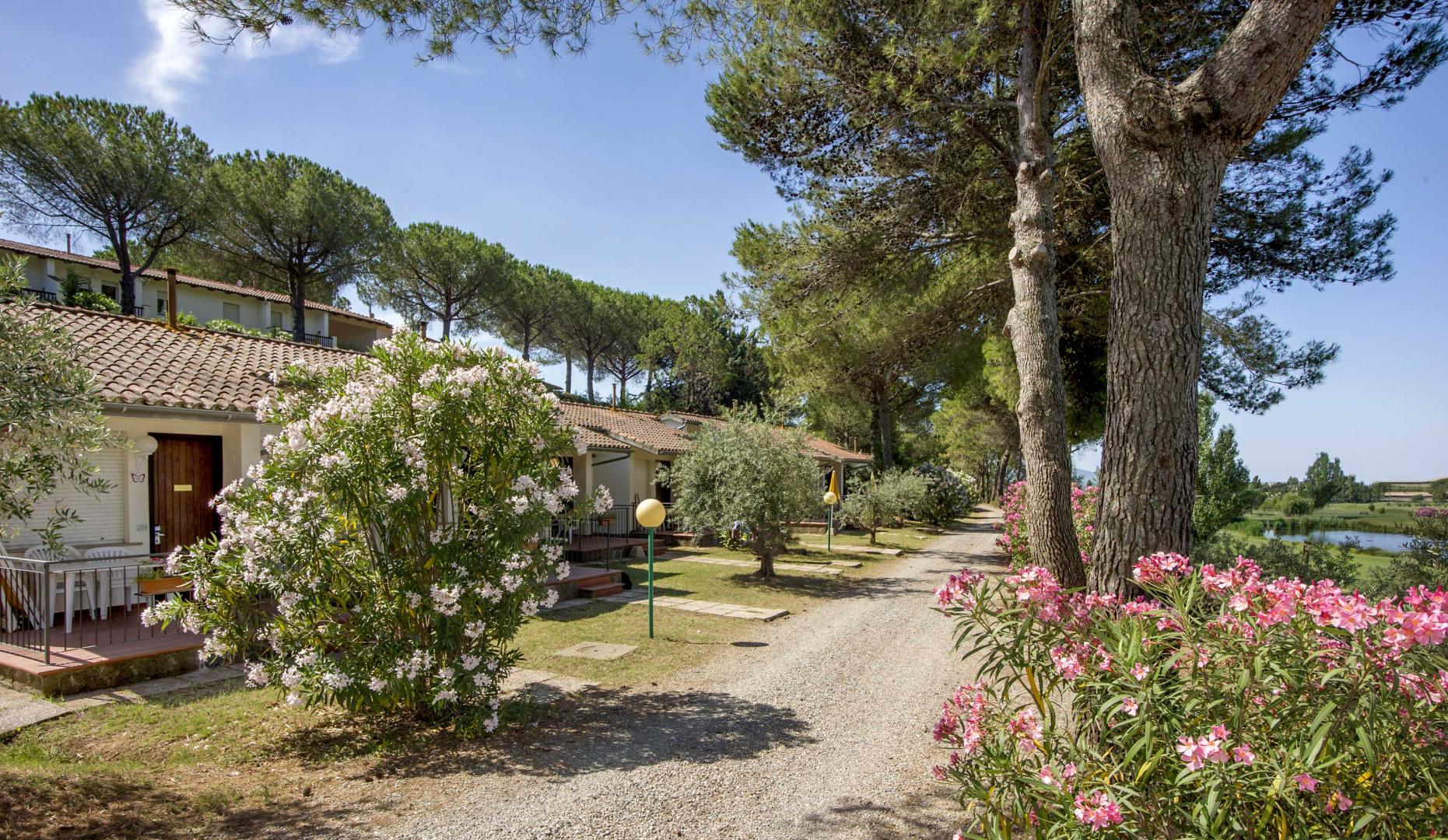 Il Pelagone Hotel & Golf Resort foto 7