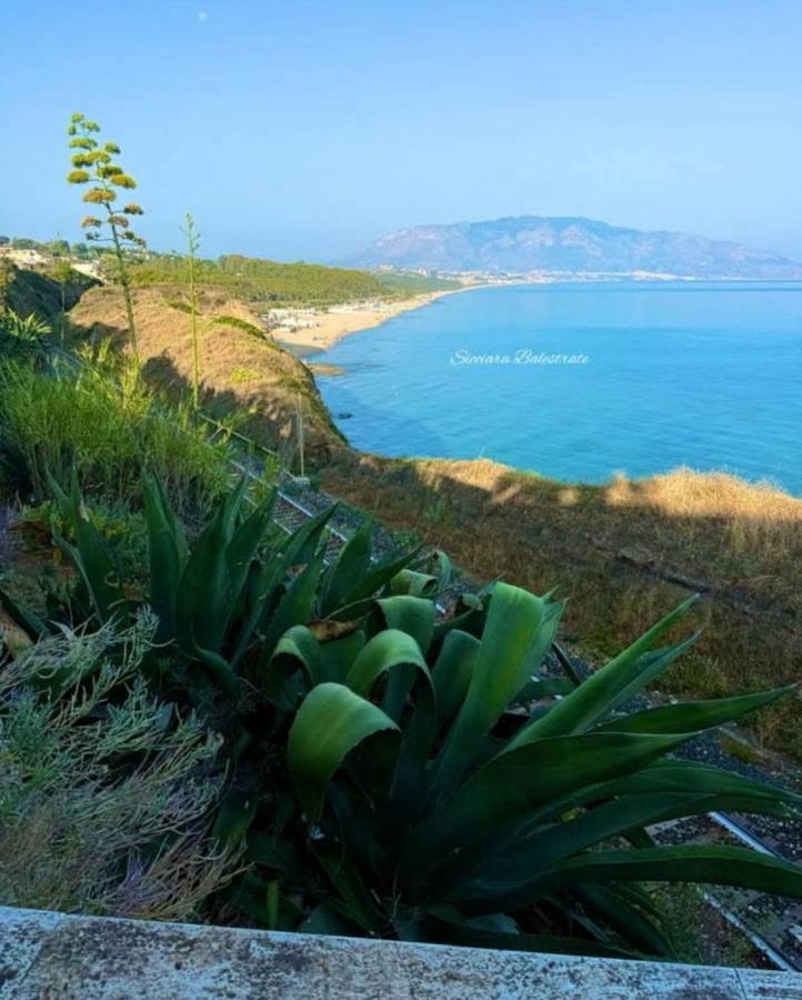 een plant op een heuvel naast een strand bij Arena Dorada - Margarita Apartments in Balestrate