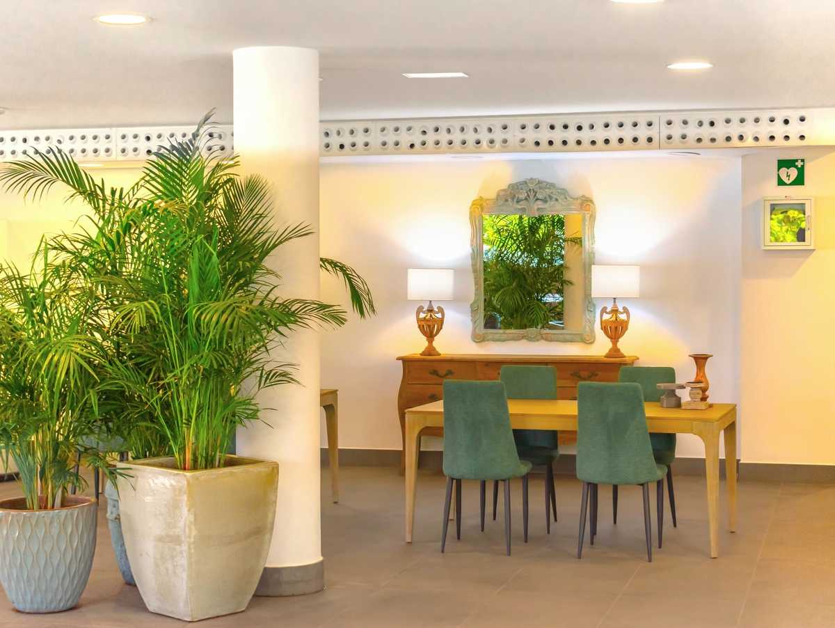 Hyde Park Lane foto 9