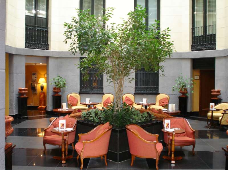 Hotel Intelier Palacio San Martín foto 4