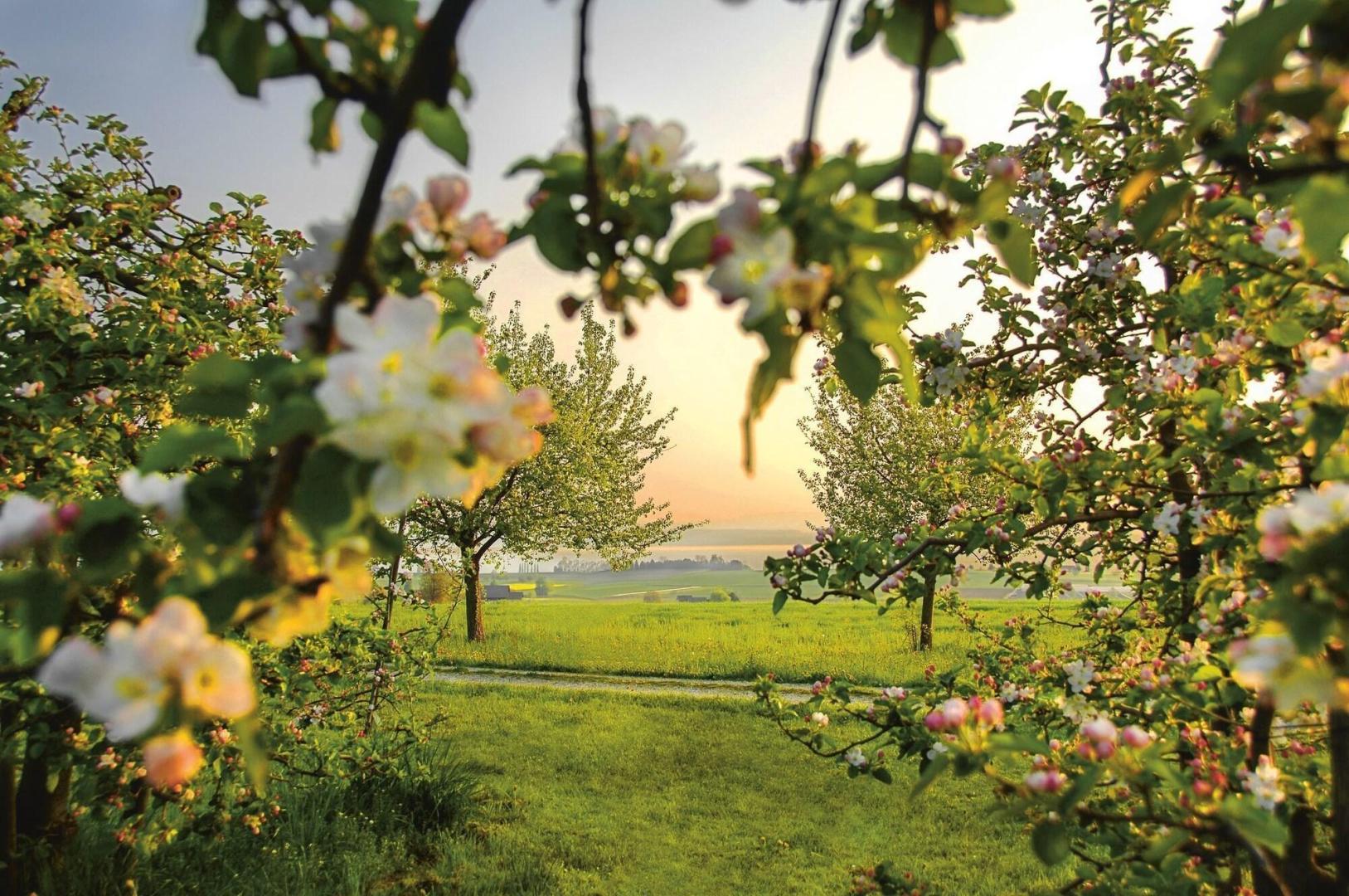 Römerhof foto 21