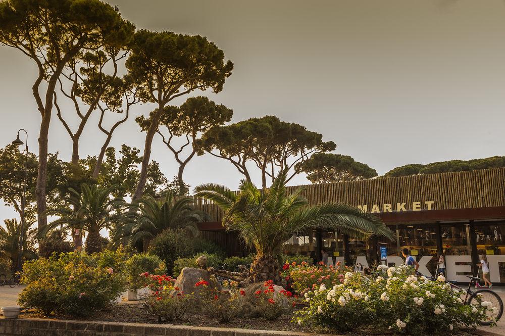 hu Park Albatros village foto 17