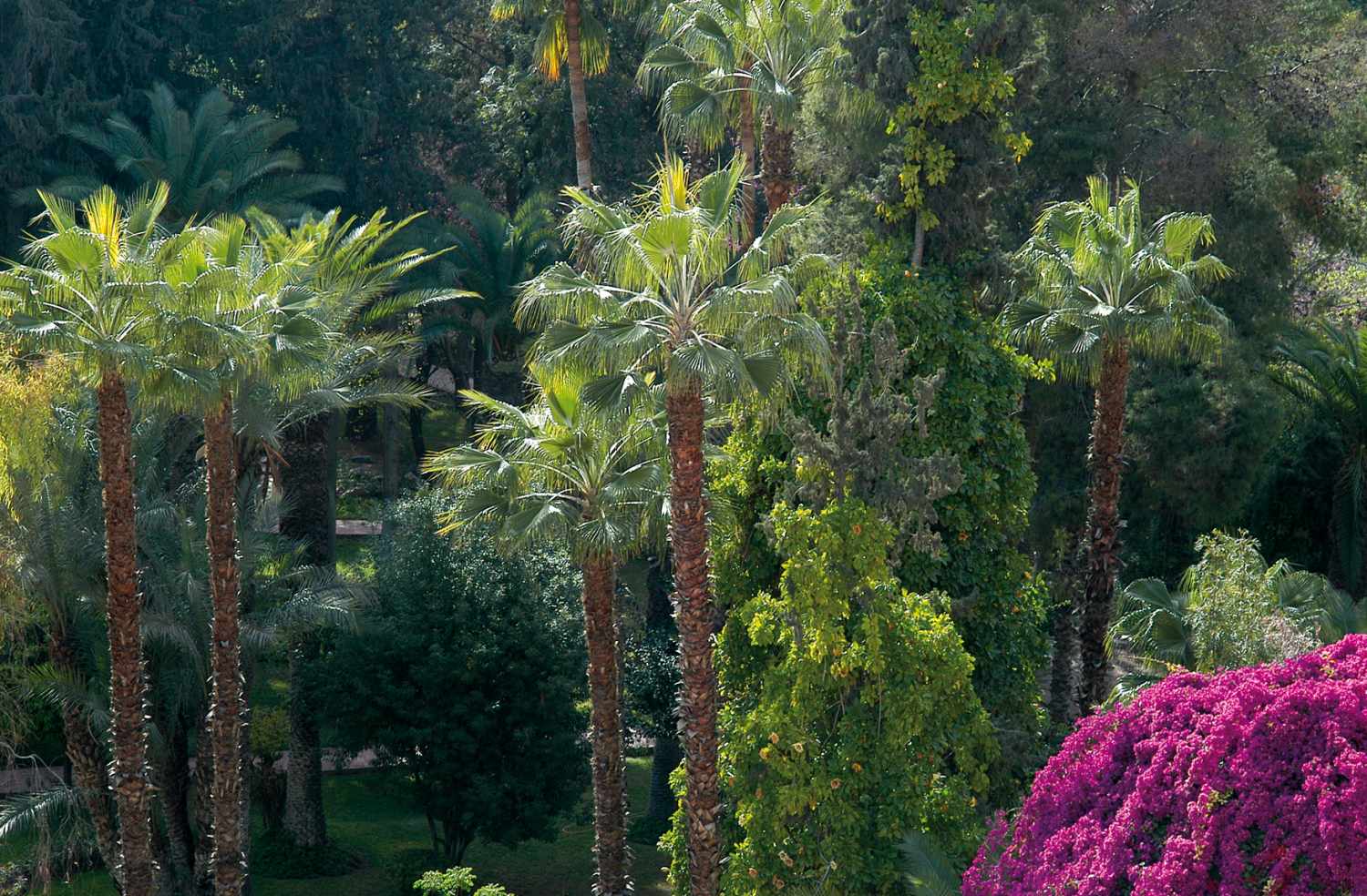 Es Saadi Marrakech Resort - Hotel foto 14