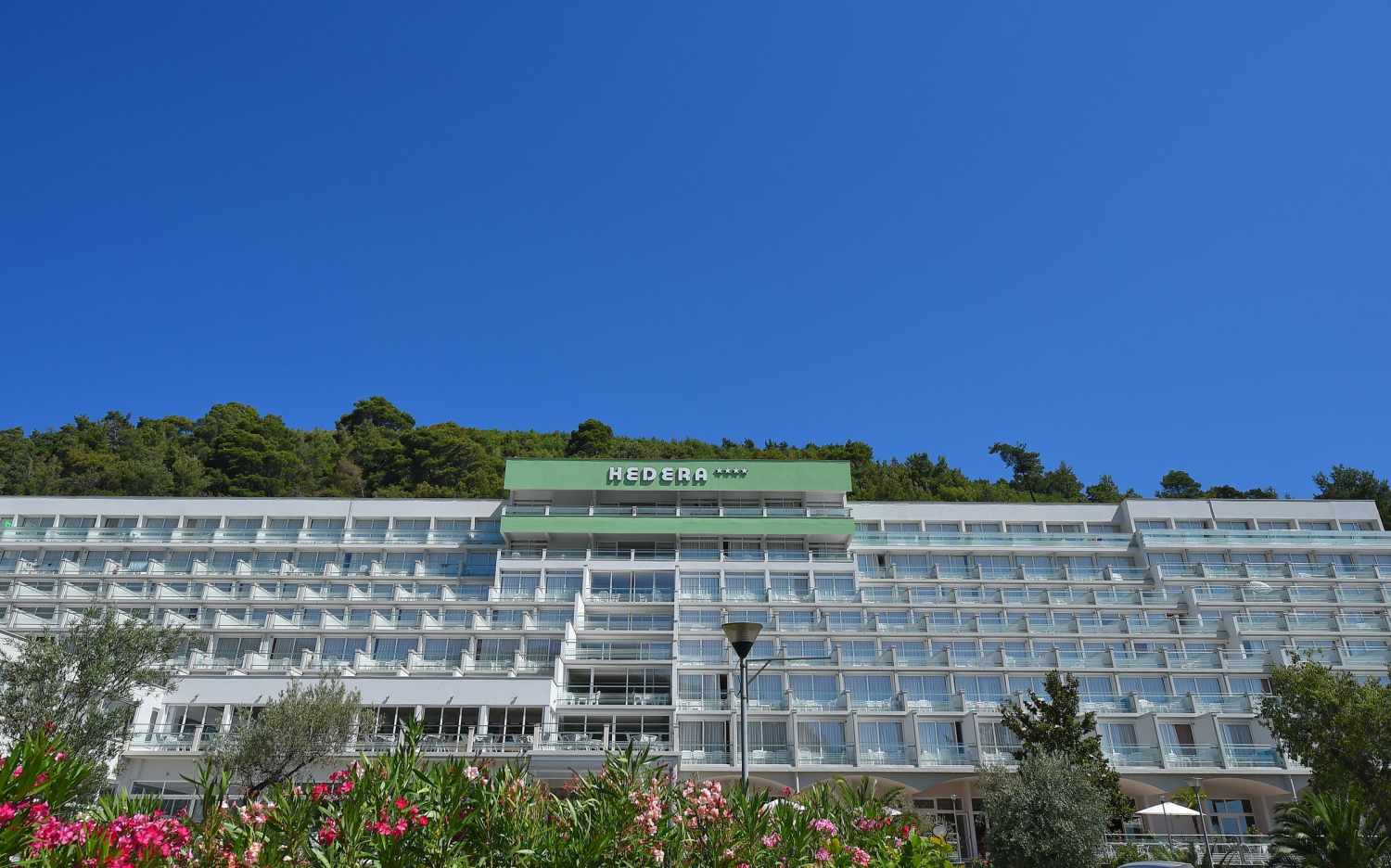Hedera Hotel foto 12