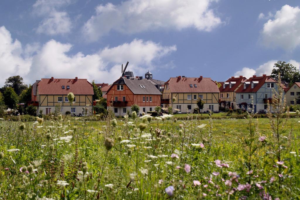 BEECH Resort Fleesensee foto 4