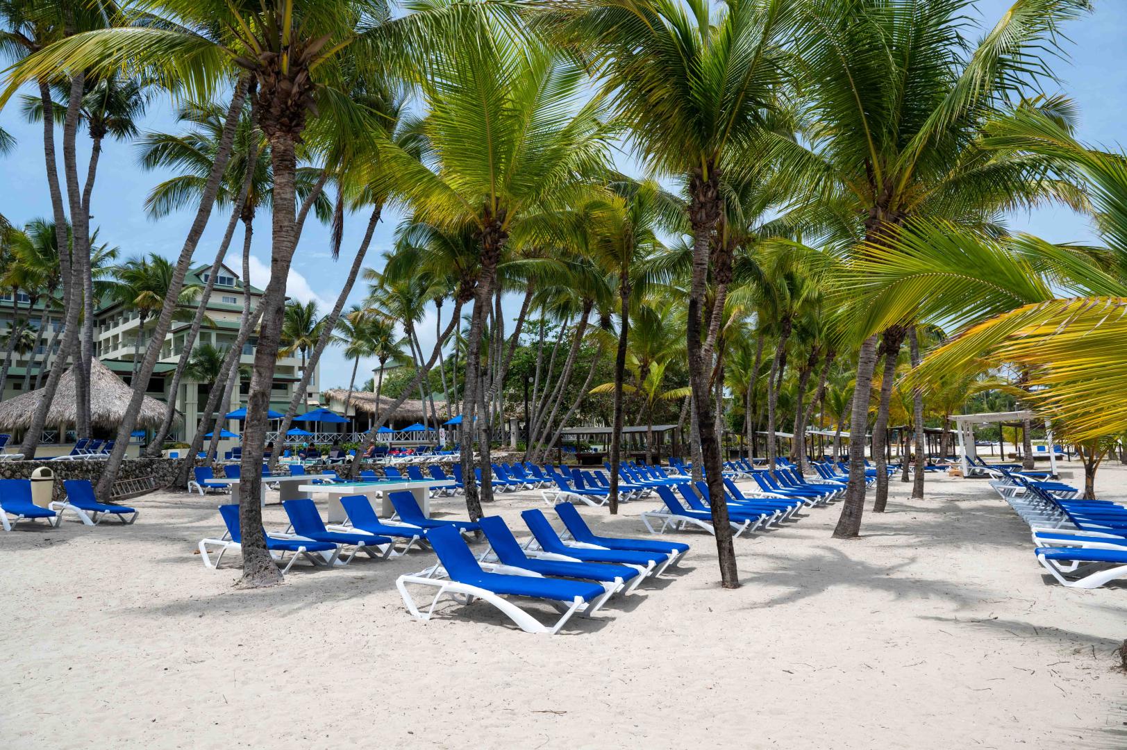Coral Costa Caribe Beach Resort foto 14