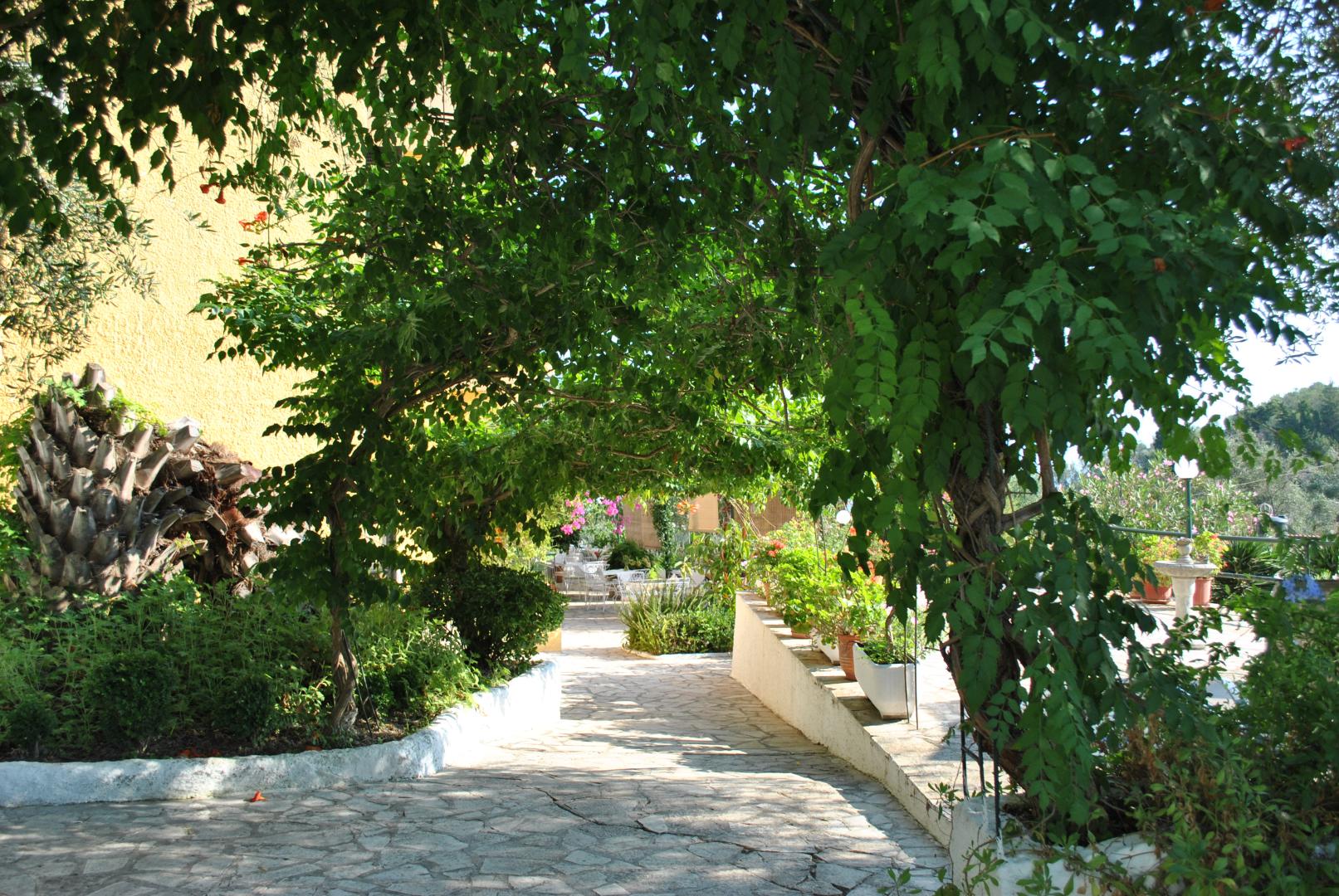 Helios Splendid foto 7