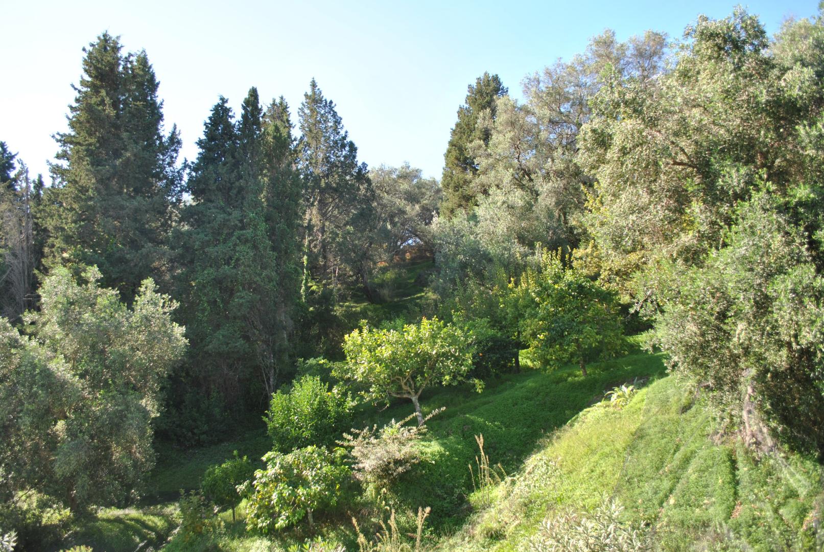 Helios Splendid foto 10