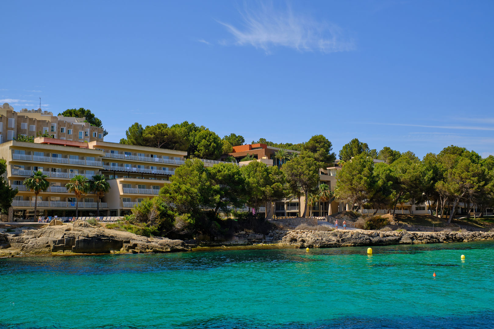 Occidental Cala Viñas foto 70