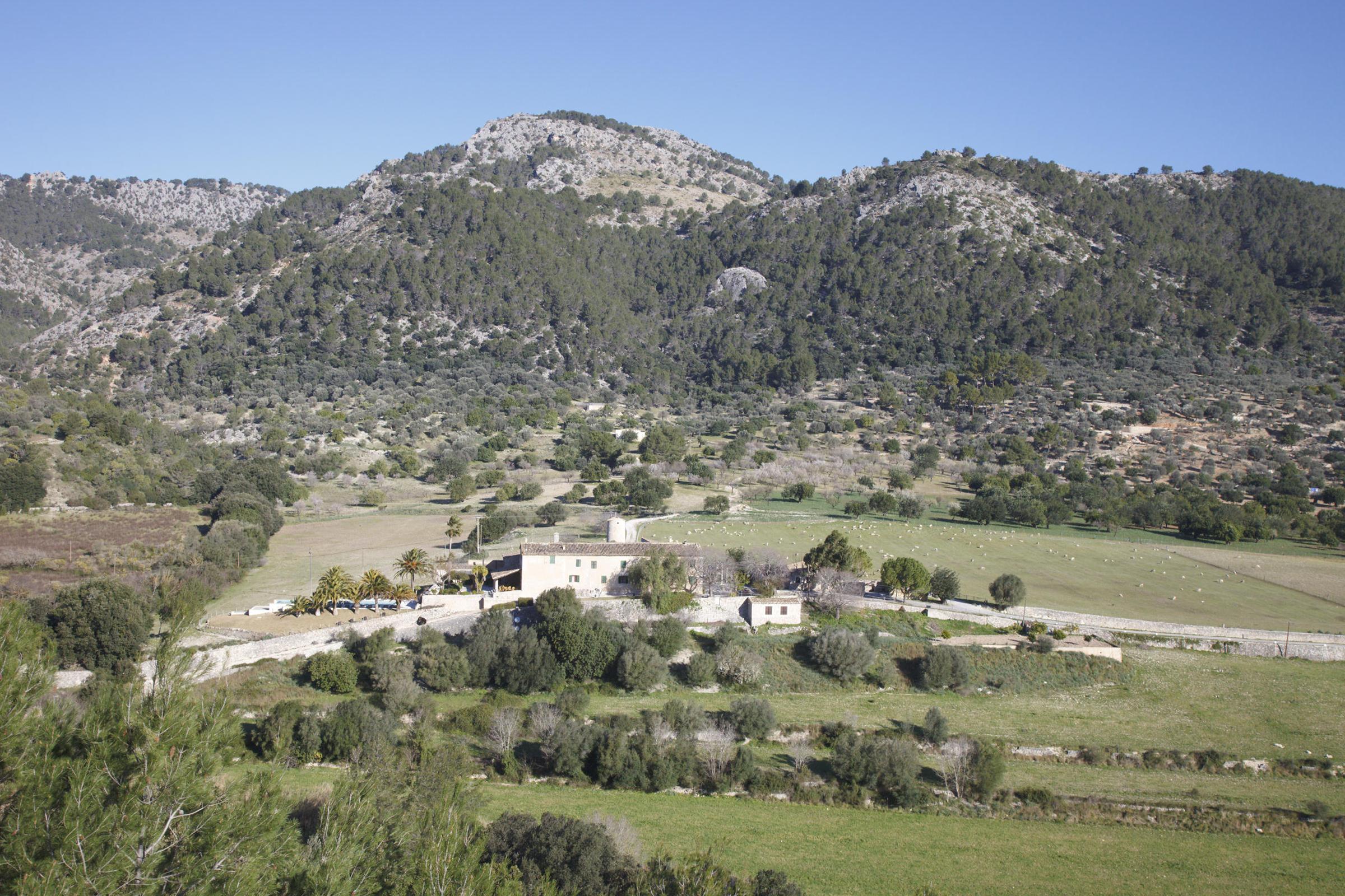 Finca Monnàber Vell foto 6
