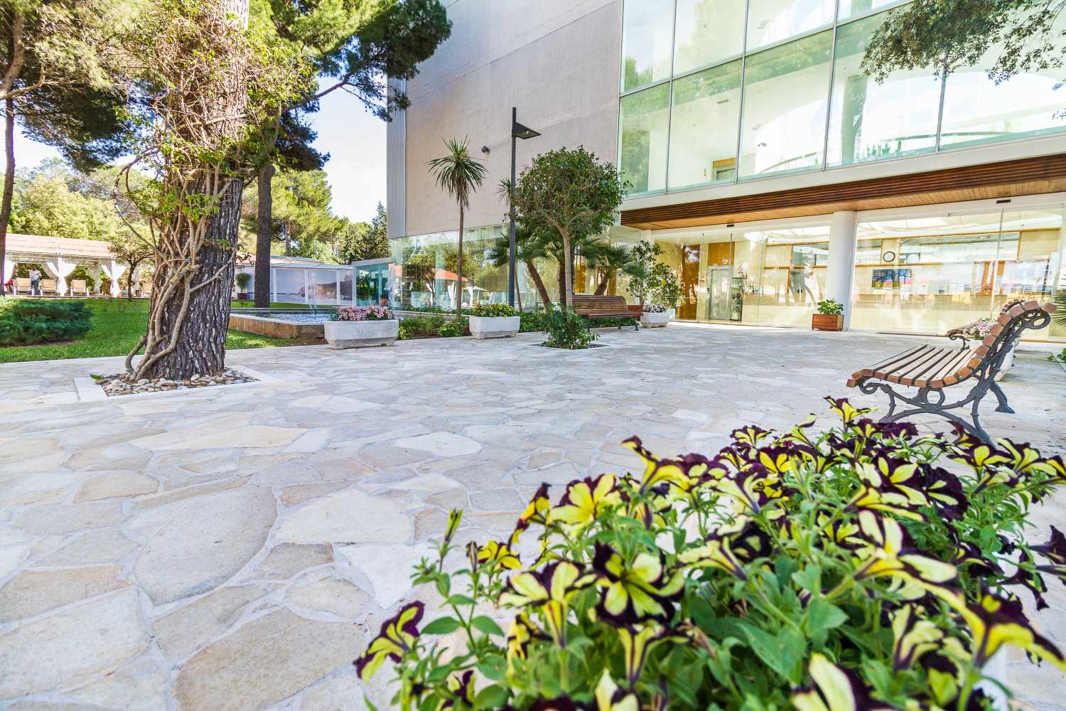 ZAFIRO Alzinar Mar foto 22