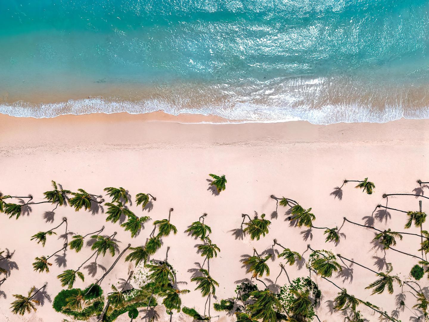 Hyatt Vivid Punta Cana, Adults Only foto 10