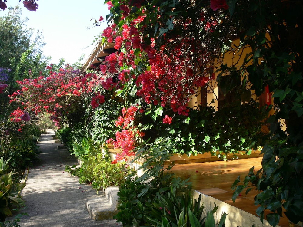 Finca Hotel Predio Son Serra foto 35